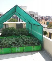 grow bag