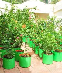 growbags
